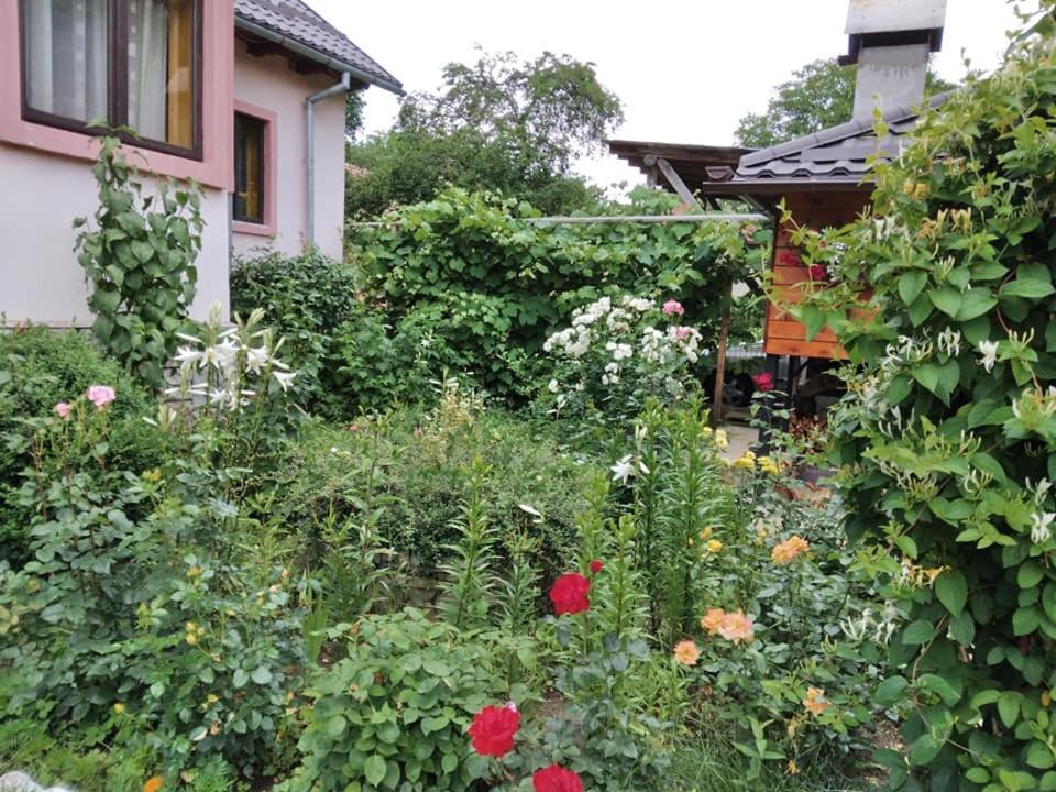 Casa Fetic Leilighet Nehoiu Eksteriør bilde
