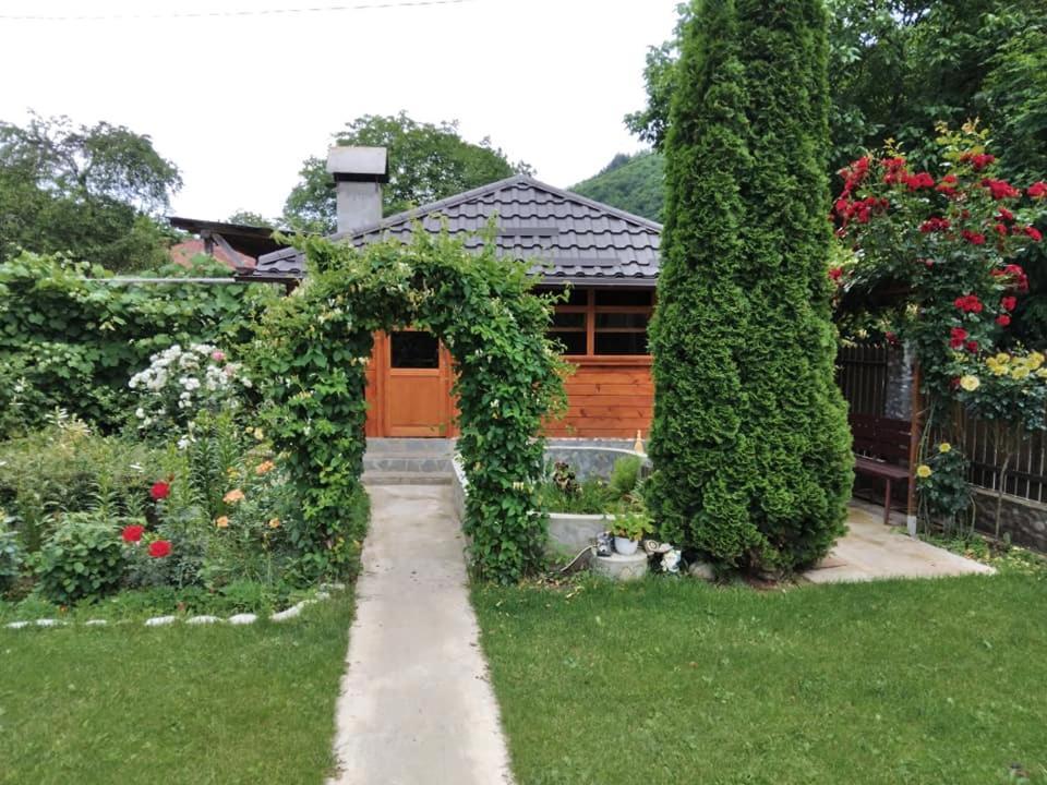 Casa Fetic Leilighet Nehoiu Eksteriør bilde