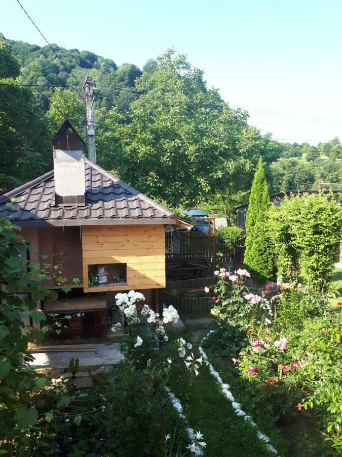 Casa Fetic Leilighet Nehoiu Eksteriør bilde
