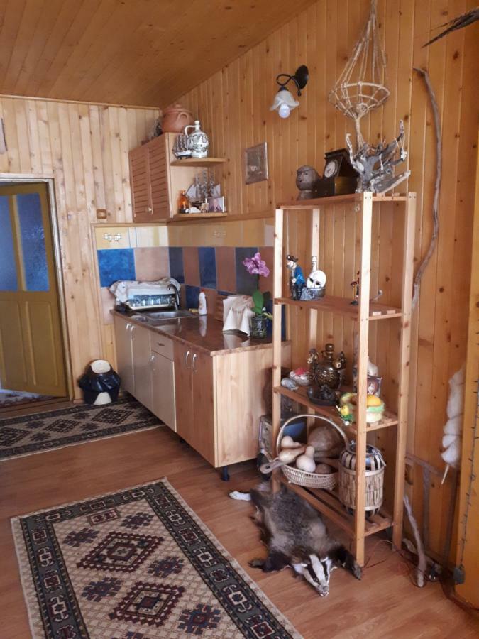 Casa Fetic Leilighet Nehoiu Eksteriør bilde