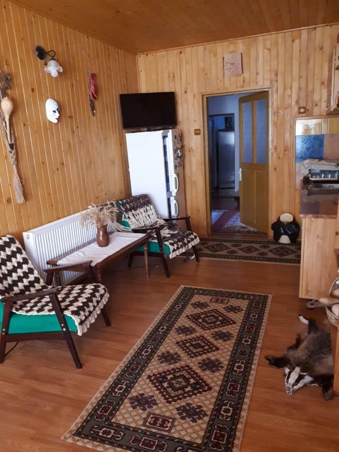 Casa Fetic Leilighet Nehoiu Eksteriør bilde