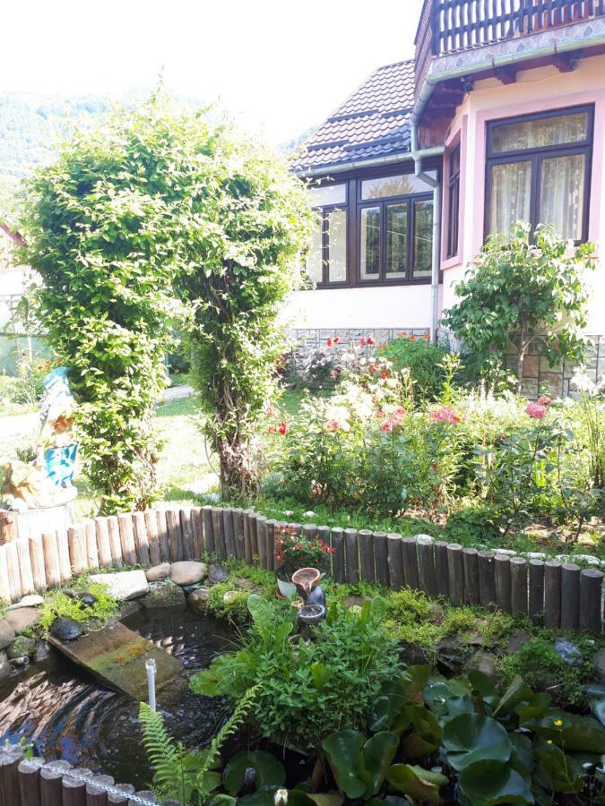 Casa Fetic Leilighet Nehoiu Eksteriør bilde
